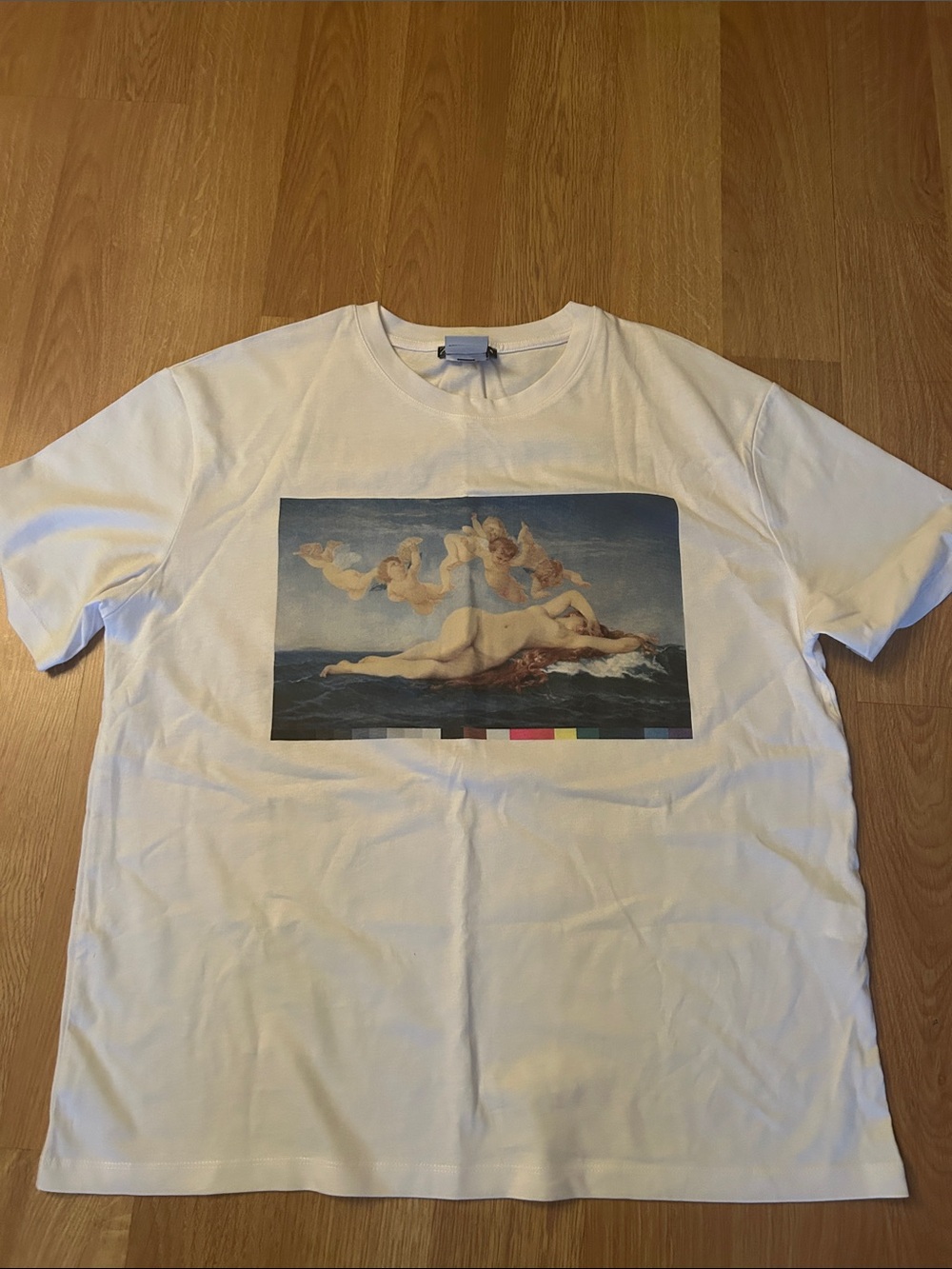 Zara Alexandre Cabanel “Birth of Venus”Graphic Art Print Oversized Tee, M - Picture 6 of 8